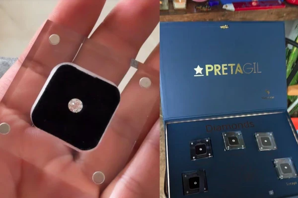 Amigos transformam cinzas de Preta Gil em diamantes para homenagear cantora