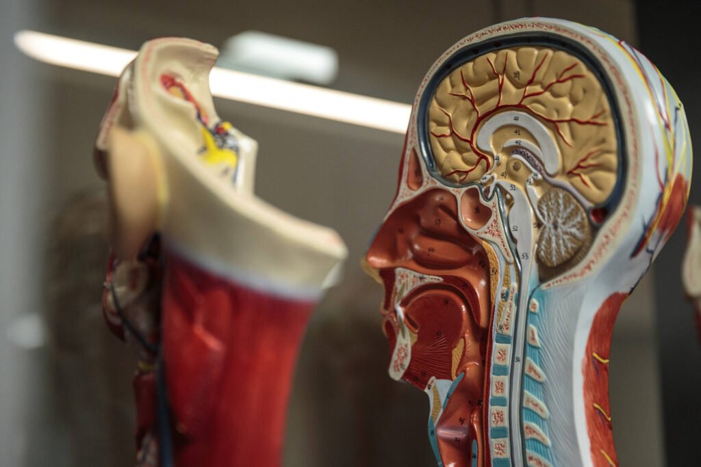 mais-mulheres,-mais-jovens-e-mais-negros:-a-nova-cara-da-medicina-paulista