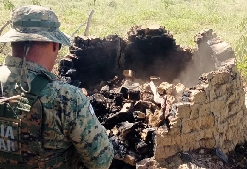 PM destrói fornos ilegais e combate produção clandestina de carvão