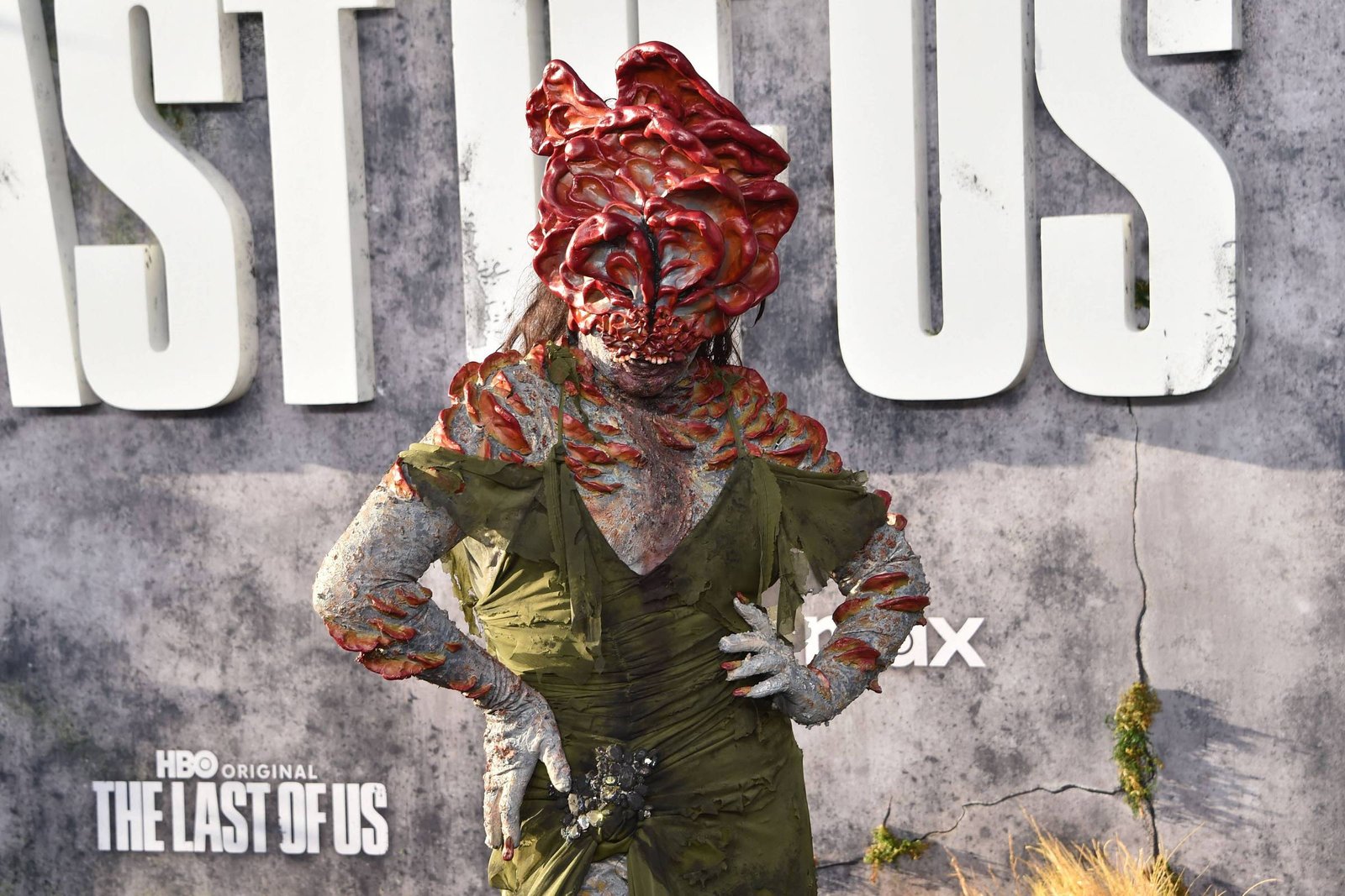 A internet dos fungos - Fala Lauro de Freitas