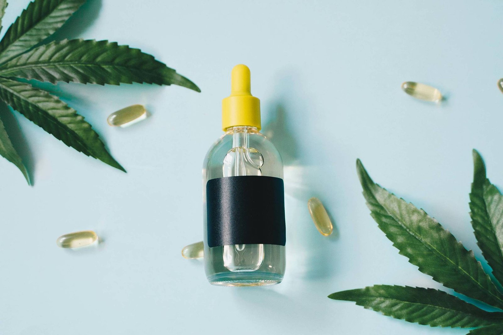 Anvisa interdita canabidiol do Paraguai comprado pela Prefeitura de São Paulo