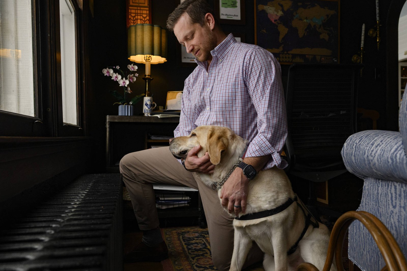 caes-de-servico-que-ajudam-veteranos-com-estresse-pos-traumatico