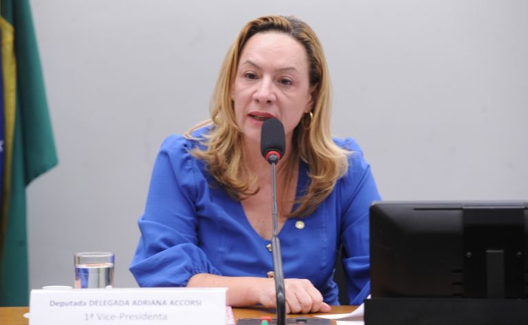 Audiência Pública – Tribuna das mulheres e discussão e votação de propostas legislativas. Dep. Delegada Adriana Accorsi (PT-GO)