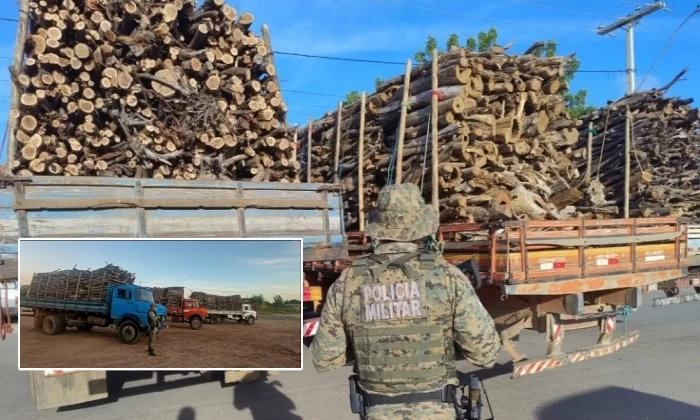 PM apreende comboio com 90m³ de madeira nativa em Guanambi