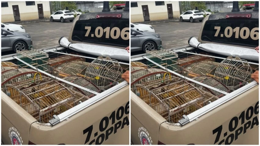 Homem é preso e 18 aves silvestres são apreendidas em Dias d’Ávila