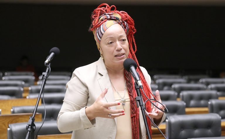 Discussão e votação de propostas legislativas. Dep. Daiana Santos (PCdoB - RS)