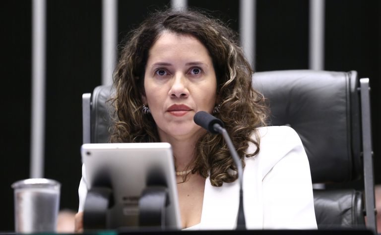 Deputada Denise Pessôa (PT-RS) no Plenário da Câmara dos Deputados