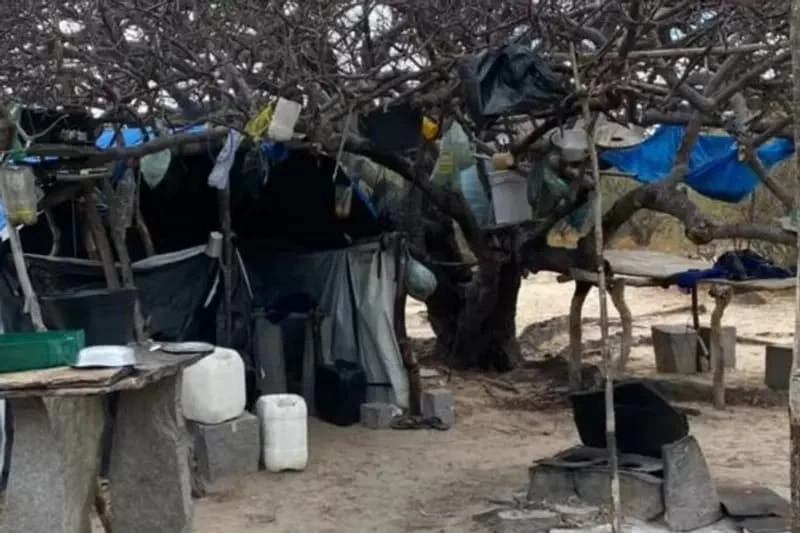 Vinte trabalhadores são resgatados de condições análogas à escravidão no norte da Bahia