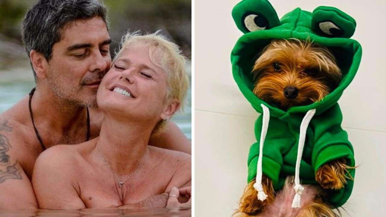 Xuxa e Junno Andrade lamentam perda de cachorro: "Meu companheirinho"