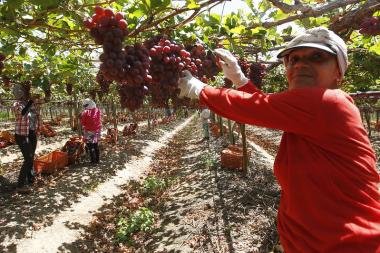 Agricultura baiana alcança R$ 56,2 bilhões em 2025 | SECOM