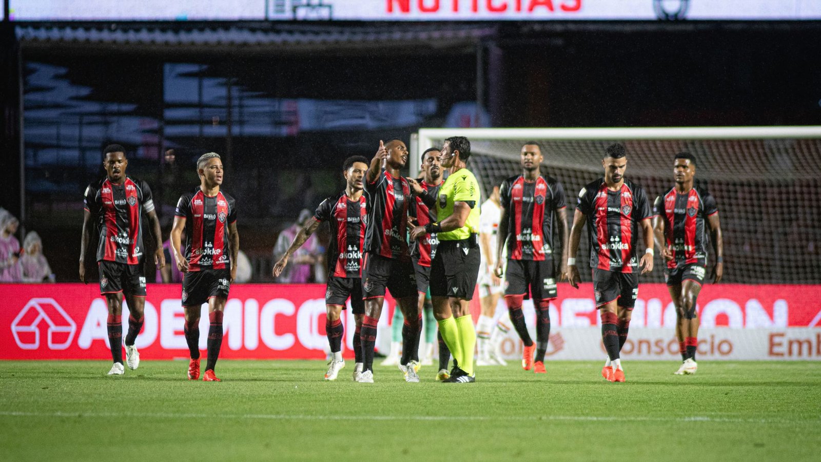 Bnews - Divulgação